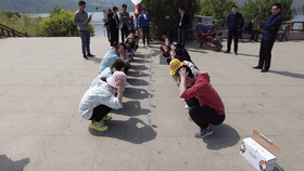 6.gif